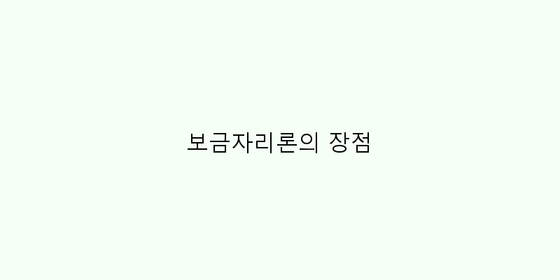 
  보금자리론의 장점
 이미지
