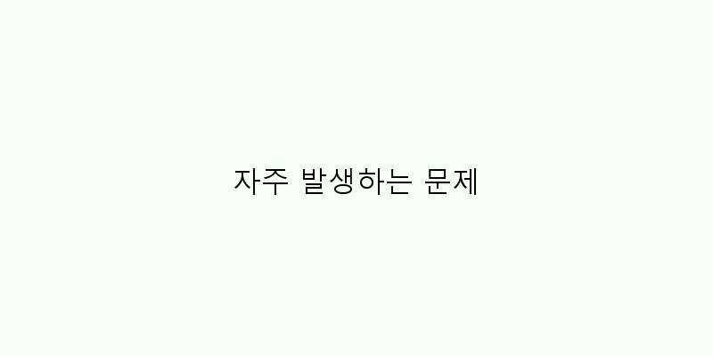 
  자주 발생하는 문제
 이미지
