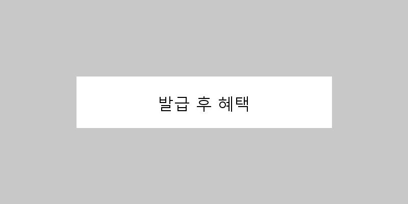 
  발급 후 혜택
 이미지