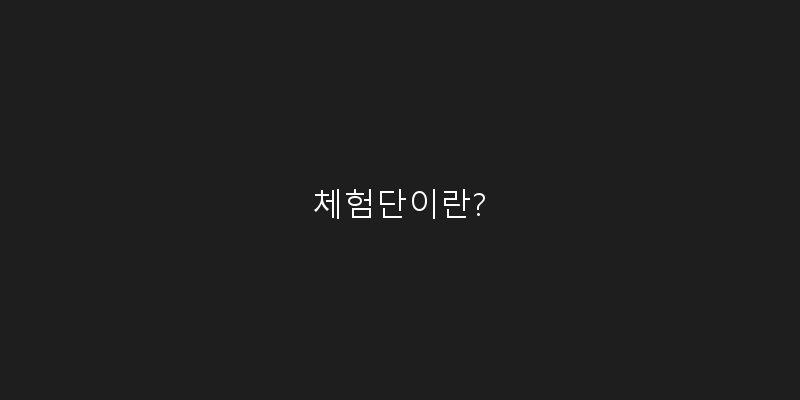 
  체험단이란?
 이미지