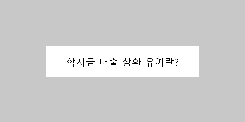 
  학자금 대출 상환 유예란?
 이미지