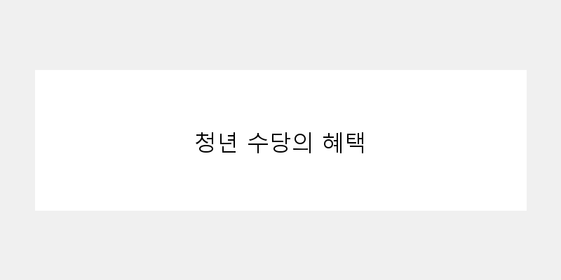 
  청년 수당의 혜택
 이미지
