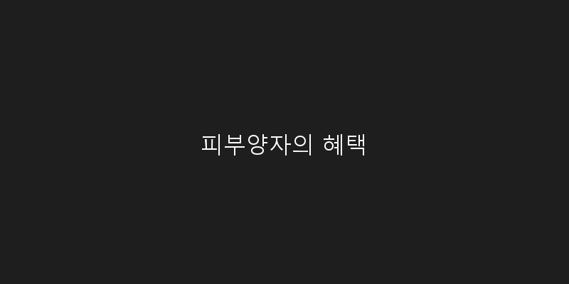 
  피부양자의 혜택
 이미지