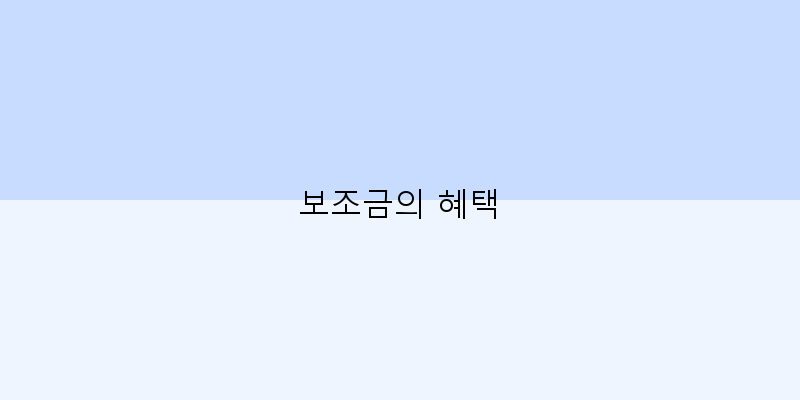 
  보조금의 혜택
 이미지