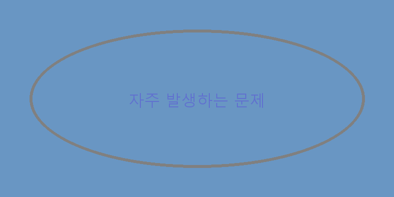 
  자주 발생하는 문제
 이미지