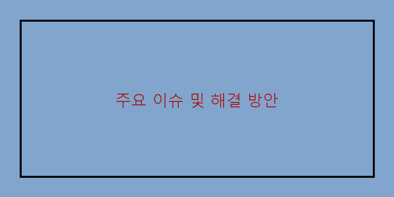 
  주요 이슈 및 해결 방안
 이미지