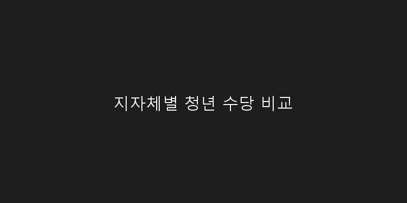 
  지자체별 청년 수당 비교
 이미지