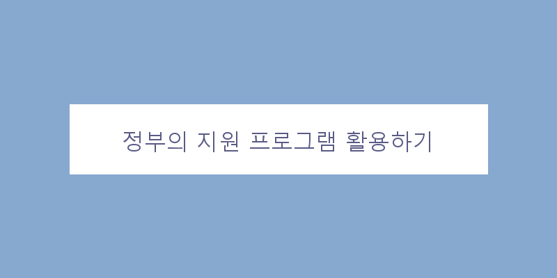 
  정부의 지원 프로그램 활용하기
 이미지