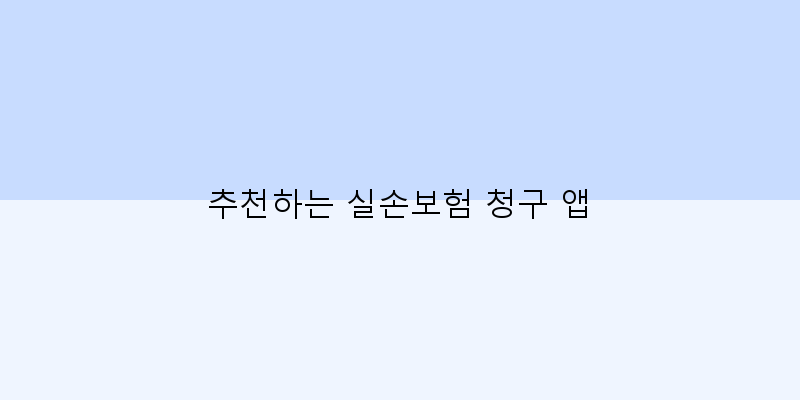 
  추천하는 실손보험 청구 앱
 이미지
