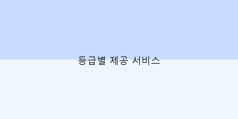 
  등급별 제공 서비스
 이미지