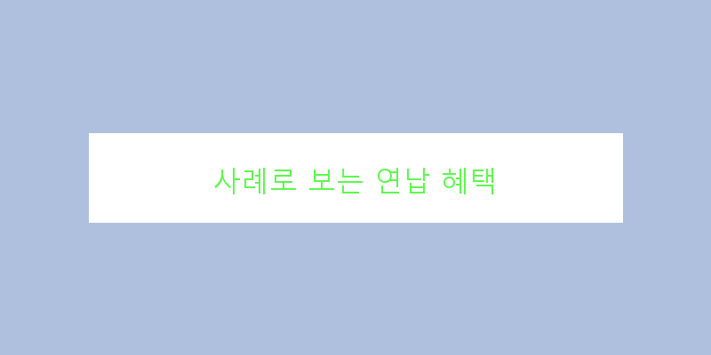 
  사례로 보는 연납 혜택
 이미지