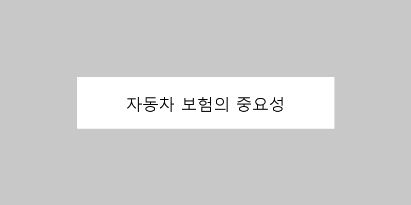 
  자동차 보험의 중요성
 이미지