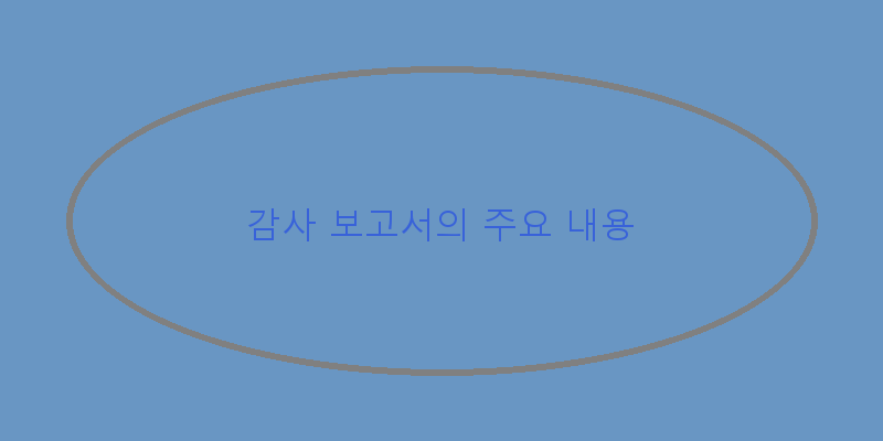 
  감사 보고서의 주요 내용
 이미지