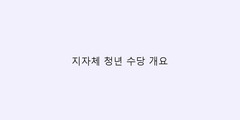 
  지자체 청년 수당 개요
 이미지