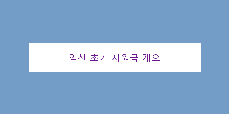 
  임신 초기 지원금 개요
 이미지