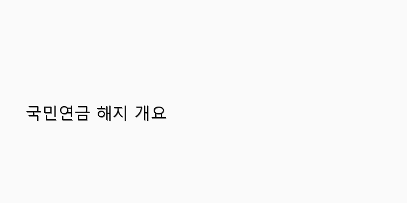 
  국민연금 해지 개요
 이미지