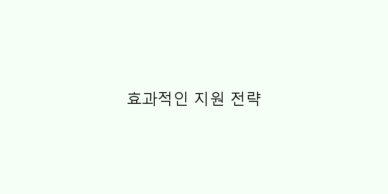 
  효과적인 지원 전략
 이미지