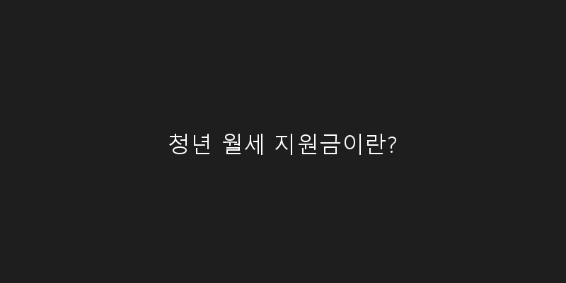 
  청년 월세 지원금이란?
 이미지