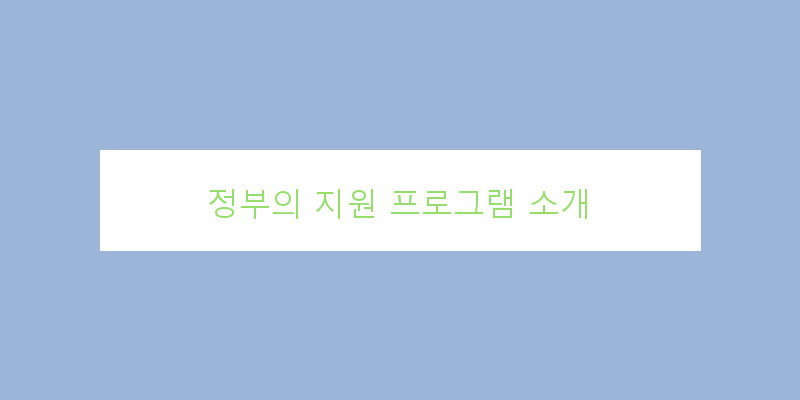 
  정부의 지원 프로그램 소개
 이미지