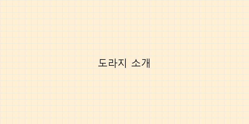 
  도라지 소개
 이미지