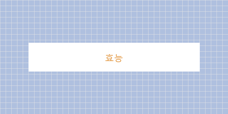 
  효능
 이미지