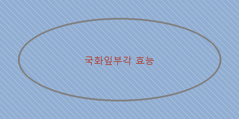 
  국화잎부각 효능
 이미지