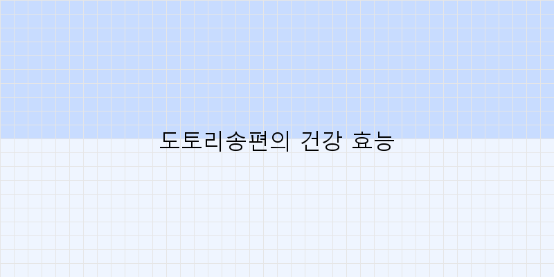 
  도토리송편의 건강 효능
 이미지