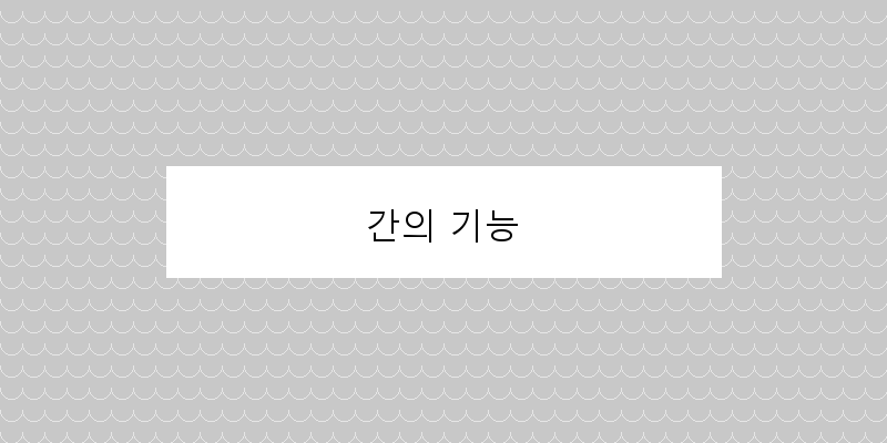 
  간의 기능
 이미지