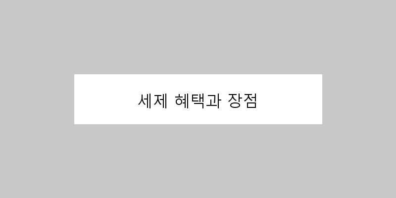 
  세제 혜택과 장점
 이미지