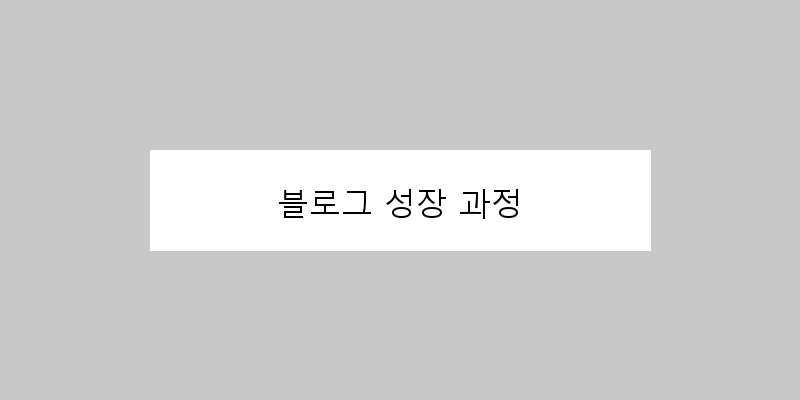
  블로그 성장 과정
 이미지