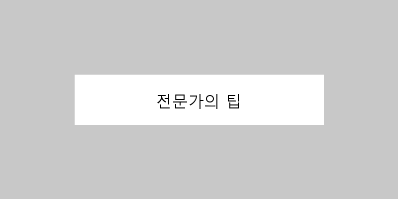 
  전문가의 팁
 이미지
