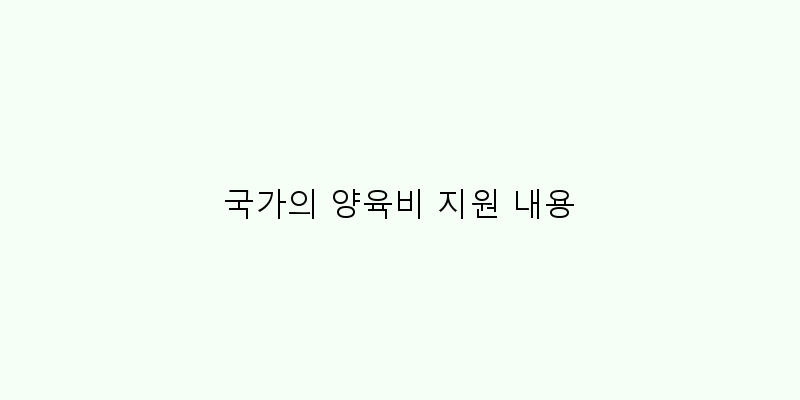 
  국가의 양육비 지원 내용
 이미지